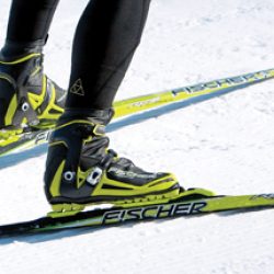 Cap Sancy : location de ski nordique